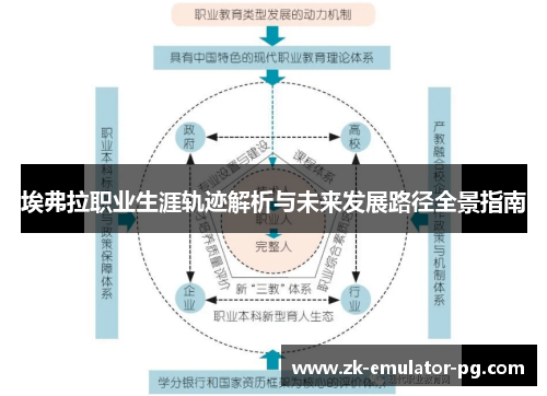 埃弗拉职业生涯轨迹解析与未来发展路径全景指南